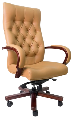 E-1051H Ritz Series Leather Chair