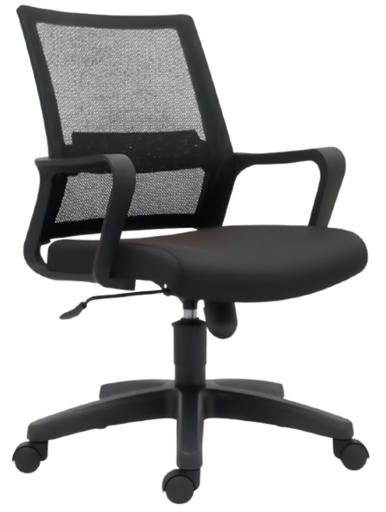 E10 Low Back Mesh Chair