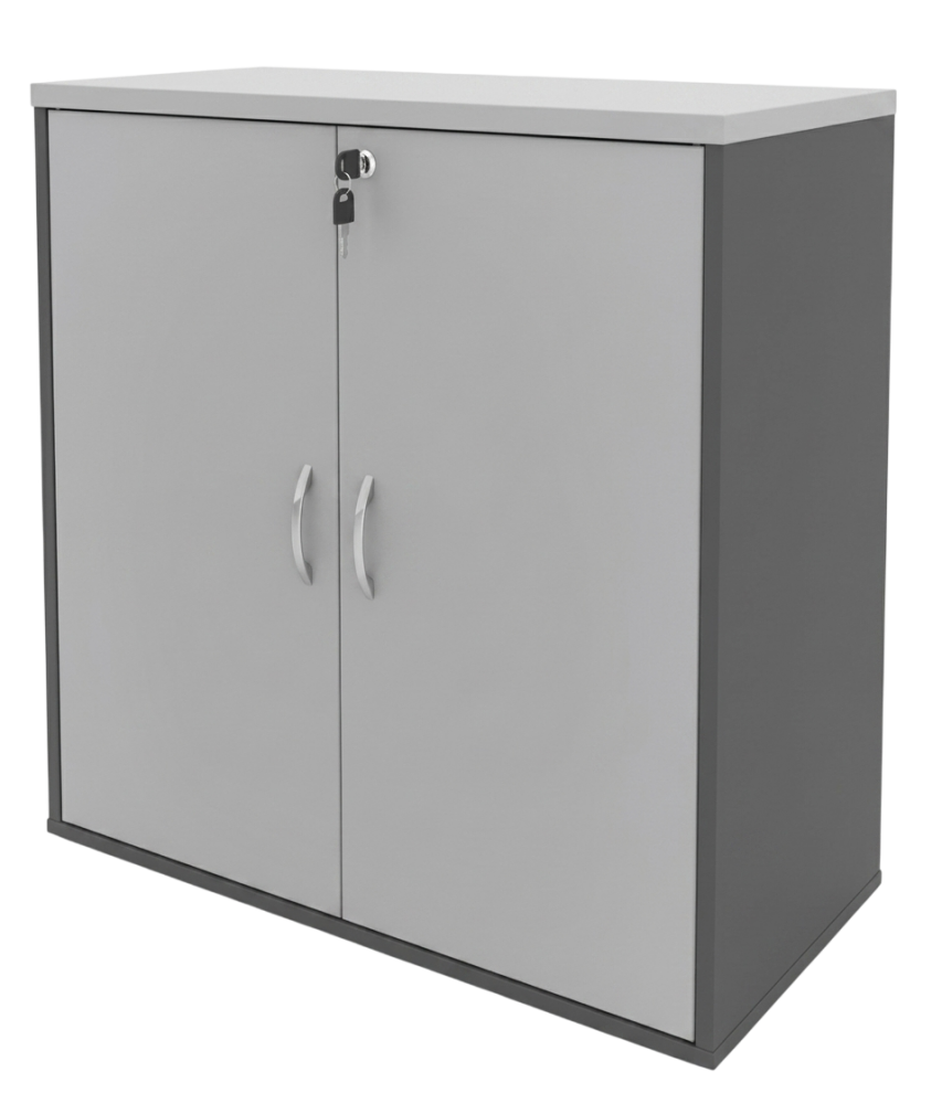 GD-880-DGLG Budget Series Low Swing Door Cabinet - Size : 80W x 40D x 82H (cm)