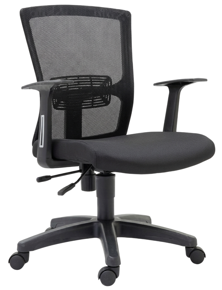 E6 Pessa Lowback Mesh Chair