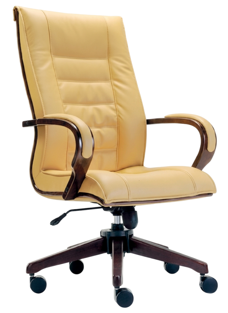 E-2151H Baas Series Leather Highback Chair
