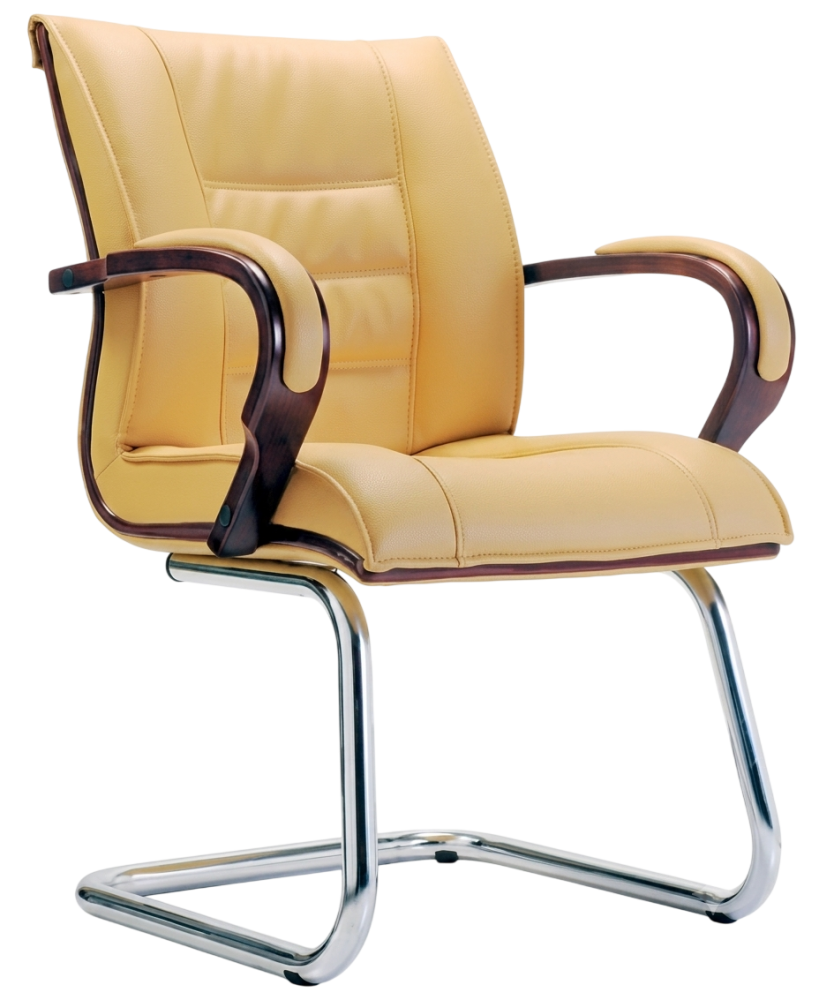 E-2154S Baas Series Visitor Leather Chair