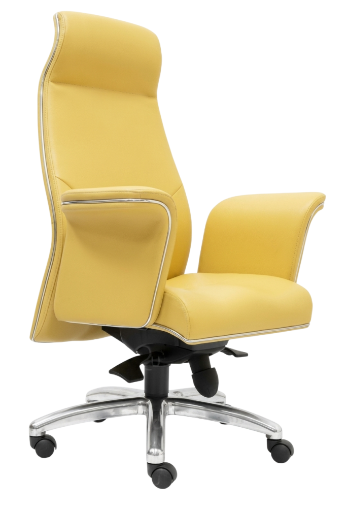 E-2881H Huro Series Highback Leather Chair