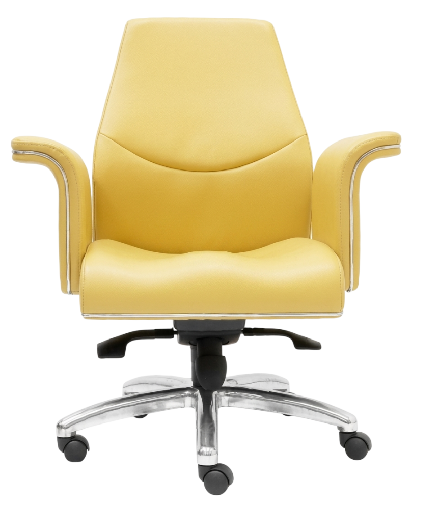 E-2883H Huro Series Lowback Leather Chair