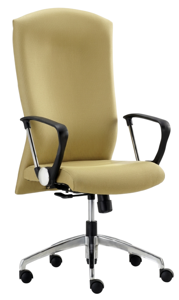 E-818H Focus Series Highback Fabric Chair