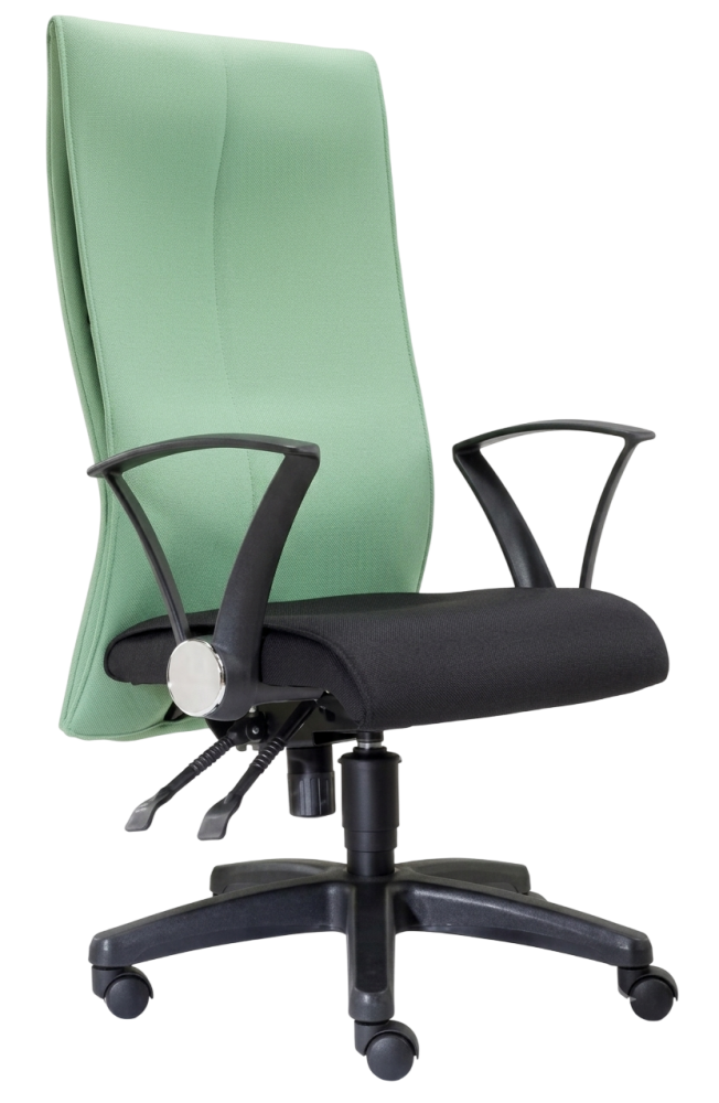E-120H Rise Series Fabric Highback Chair